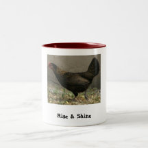 Subida y brillo taza de café