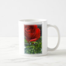 Subió con la taza de café de la estrella