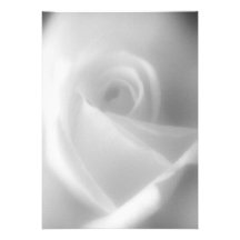 Subió en la invitación blanco y negro