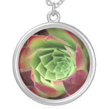 Suculento Joyeria