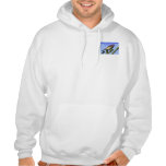 SUDADERA CON CAPUCHA DEL BASIC