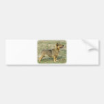 Sueco Vallhund Etiqueta De Parachoque