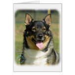 Sueco Vallhund Tarjeta