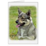 Sueco Vallhund Tarjeton