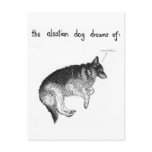 Sueño de alsatian tarjetas postales