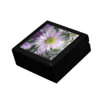 Sueño del aster caja de joyas