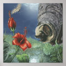 Sueño del hibisco del palo canoso poster