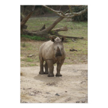 Sueños 10 del safari foto