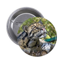 Sueños de la libertad II Pins
