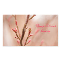 Sueños de la primavera tarjeta de negocio