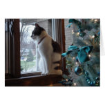 Sueños del navidad felicitaciones