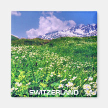 SUIZA IMAN DE NEVERA