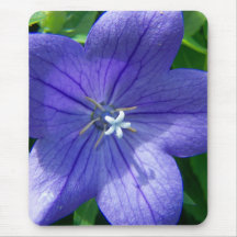 SummerFlowers006 Alfombrilla De Raton