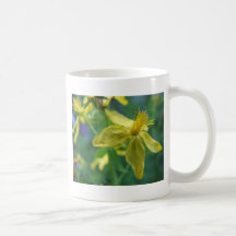 SummerFlowers027 Taza De Café