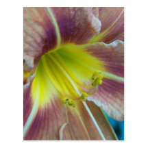 SummerFlowers041 Tarjeta Postal