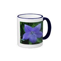 SummerFlowers048 Taza