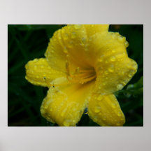 SummerFlowers049 Impresiones