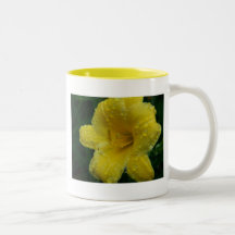 SummerFlowers049 Tazas