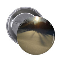 Sun brillante en nieve fresca pins