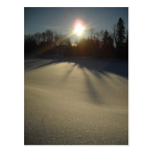 Sun brillante en nieve fresca tarjeta postal