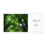 Sun en los árboles - gracias tarjeta fotográfica personalizada