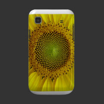 Sunflower Galaxy s cárcasas casemate