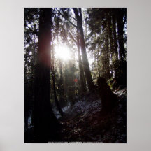 Sunrays #16 del invierno poster