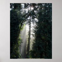 Sunrays de la madrugada # 7 impresiones