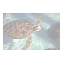 Superficies de la tortuga de mar papelería personalizada