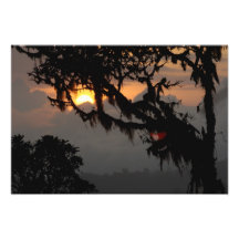 Suramérica, Ecuador, escena del bosque de la nube  Fotografías