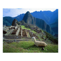 Suramérica, Perú. Una llama descansa sobre una col Fotografías