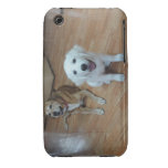 Sus fotos preferidas del perro en una caja del tel Case-Mate iPhone 3 protectores
