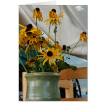 Susans Negro-Observado en un florero verde bonito  Tarjeton