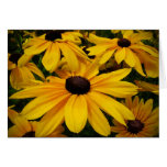 Susans Negro-observado Pascua Felicitacion