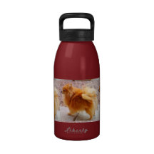 Sushi - botella de agua de Pomeranian