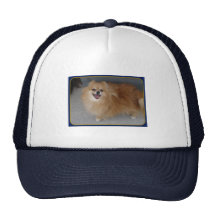 Sushi - gorra de Pomeranian