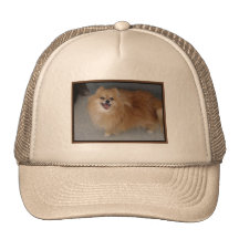 Sushi - gorra del camionero de Pomeranian