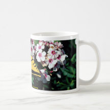 Swallowtail occidental del tigre en el top blanco  tazas