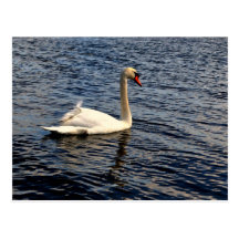 Swan'd Postal