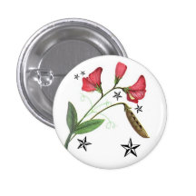 Sweetpea estrellado pin