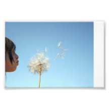 Swirly Fotos