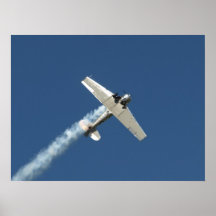 T-6 "Texan" volado por Bill Leff. Posters