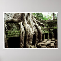 TA Prohm No2 Posters
