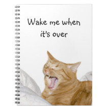 Tabby anaranjado soñoliento cuaderno