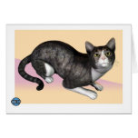 Tabby gris tarjeta