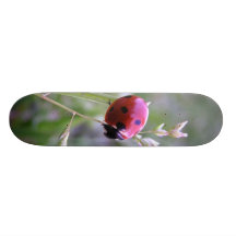 Tablero de la mariquita tablas de skate