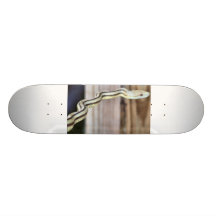tablero de la serpiente patin