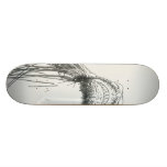 Tablero del demonio tablas de patinar