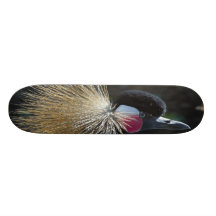tablero del pájaro patin