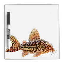Tablero seco del borrado del siluro de Corydoras S Pizarra Blanca